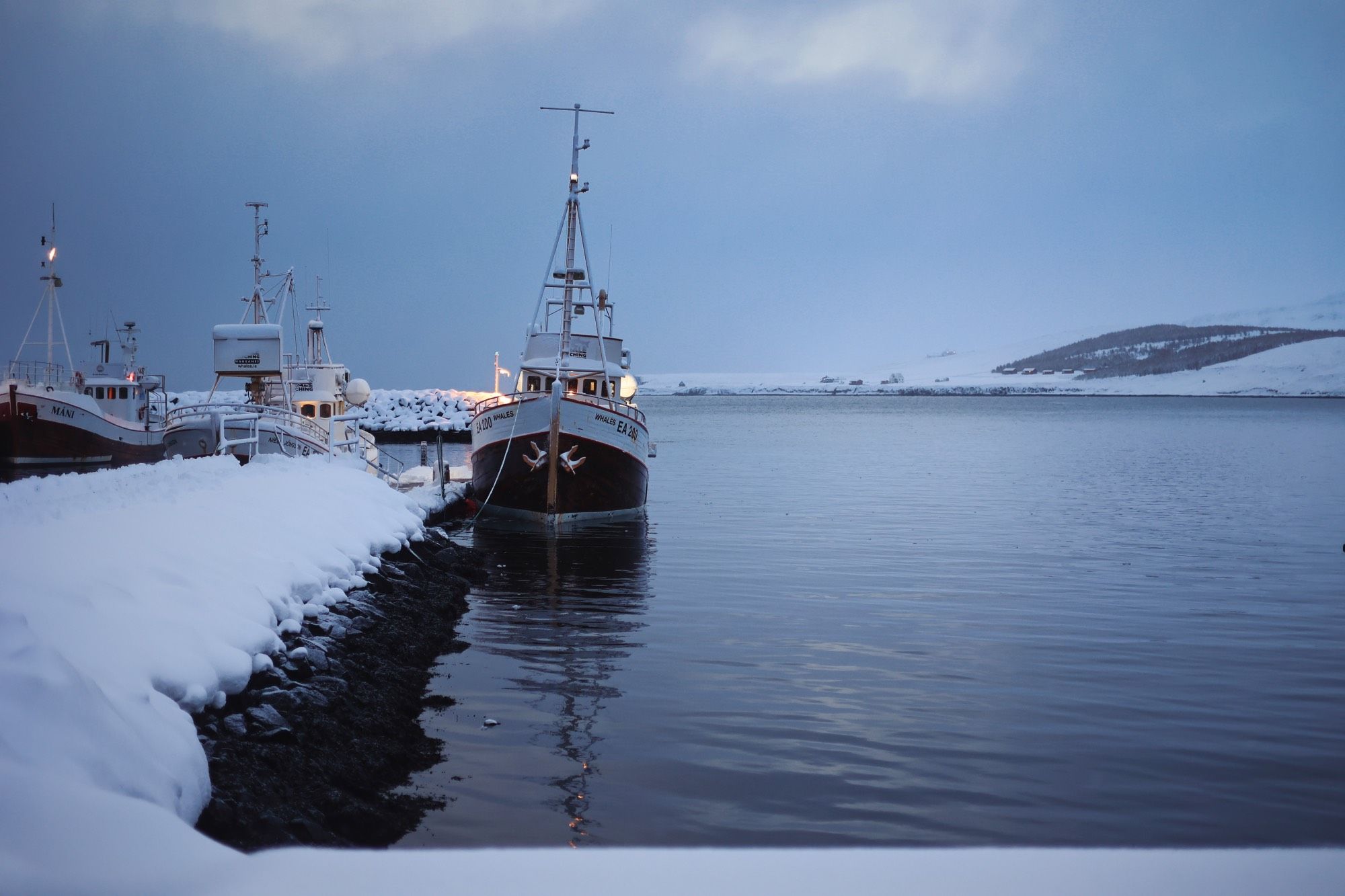 Iceland – Day 8: Bifröst and Whale Watching in Hauganes